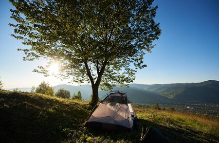 Summer camping in the mountains. Tourist white tent at campsite near big tree at sunrise in the morning. Tourism outdoor active lifestyle conceptの写真素材