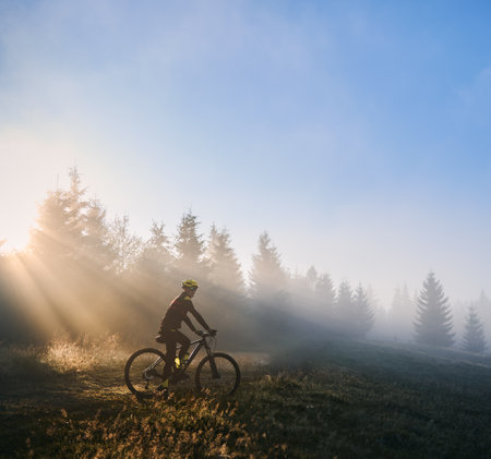 Silhouette of man in cycling suit riding bicycle near forest illuminated by morning sunlight. Male bicyclist cycling down grassy hill in the morning. Concept of sport, bicycling and active leisure.の写真素材