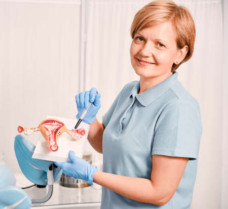 Smiling gynecologist pointing at uterus anatomy model.の写真素材