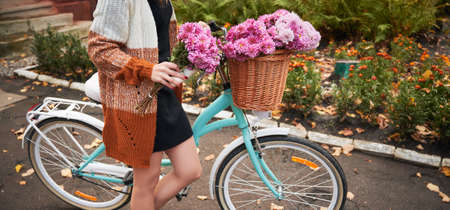 Cropped view of woman travelling by vintage cycle down street . Female wearing brown cardigan is riding bike with big basket of pink chrysanthemum. Concept of healthy lifestyle.の写真素材