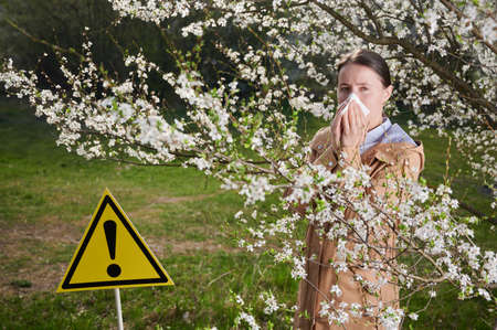 Woman allergic suffering from seasonal allergy at spring, posing in blossoming garden at springtime. Young woman sneezing and blowing nose among blooming trees near attention sign.の写真素材