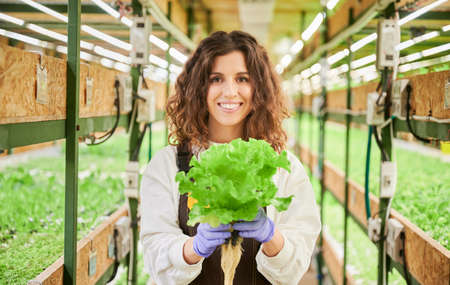 Joyful female gardener looking at camera and smiling while holding green leafy plant lettuce. Young woman in garden gloves standing in aisle between shelves with seedlings in greenhouse.の写真素材