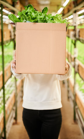 Female customer holding cardboard package box with fresh green leafy plants. Woman with packaged...