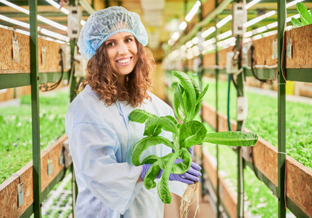 Female gardener holding pot with green arugula plant in greenhouse. Portrait of woman in work overalls looking at camera and smiling while standing in aisle between racks with plants.の写真素材