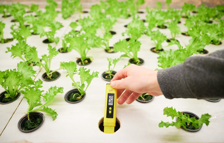 Close up of scientist with digital pH tester in hand standing near shelf with green leafy plants....