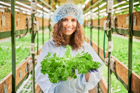 Cheerful female gardener holding green leafy plant - salad frisee, looking at camera and smiling. Portrait of young woman worker standing in aisle between shelves with plants in greenhouse.の写真素材