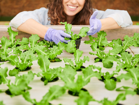 Cropped view of female gardener checking plant growth. Happy woman in disposable cap standing near greenhouse shelf with plants.の写真素材