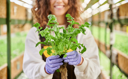 Close up of female gardener in garden gloves holding pot with fresh arugula leaves. Smiling young woman with leafy plant in hands standing in greenhouse.の写真素材