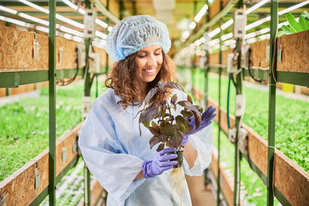 Portrait of female gardener holding pot with basil in greenhouse. Cheerful young woman in disposable cap and rubber gloves looking at camera, smiling and standing with leafy plant.の写真素材