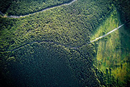 Aerial drone view of mountain road or pathway through alpine coniferous forest with green trees. Beautiful landscape of hiking path passing through conifer woods in lush green woodland.の写真素材