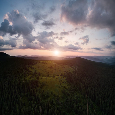 Aerial view of green coniferous alpine trees with deforested area under evening cloudy sky. Beautiful landscape of sunset over mountain forest and grassy meadow after deforestation.の写真素材