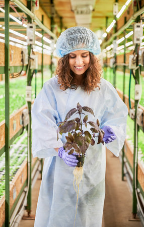 Portrait of female gardener holding pot with basil in greenhouse. Cheerful young woman in disposable cap and rubber gloves looking at camera, smiling and standing with leafy plant.の写真素材