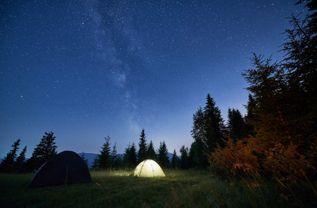 Beautiful landscape of grassy hill with camp tents and coniferous trees under night starry sky. Scenic panoramic view of tourist tents in mountain meadow under blue sky with stars.の写真素材