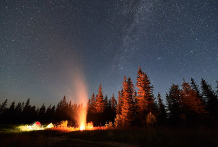 Night camping under starry sky in mountains near forest. Tourists having a rest near campfire under amazing sky full of stars. Camping in Carpathian mountains.の写真素材