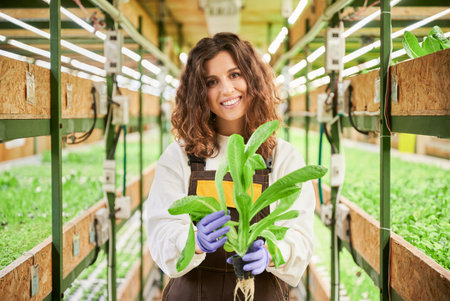 Female gardener holding pot with green arugula plant in greenhouse. Portrait of woman in work overalls looking at camera and smiling while standing in aisle between racks with plants.の写真素材