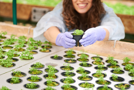Close up of woman hands in garden gloves holding pot with green plant seedlings. Female agronomist standing near greenhouse shelf with seed trays while holding sprouting plant.の写真素材