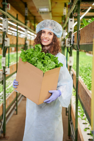 Happy female gardener holding cardboard package box with green leafy plants. Portrait of smiling woman with packed leafy greens standing near shelves with seedlings in greenhouse.の写真素材