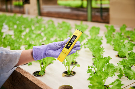 Close up of woman hand in rubber garden glove holding digital pH tester. Female gardener with pH meter in hand standing by shelf with green leafy plants in greenhouse.の写真素材