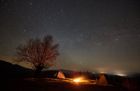 Night camping. Two tent glows softly beside campfire under star-studded sky. Silhouette of leafless tree stands against mountainous horizon, creating serene and mesmerizing night scene in nature.の写真素材