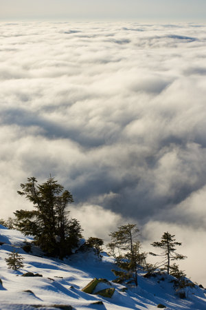 Snow-covered mountain slope with scattered rocks and trees. Landscape bathed in soft sunlight, while dense layer of clouds stretches out below, creating dramatic and ethereal scene.の写真素材