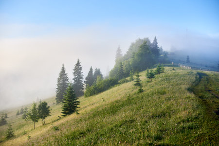 Misty morning in mountain valley. Layers of fog drift through lush green forests, creating serene and mystical atmosphere. Distant hills and peaks rise majestically under clear blue sky.の写真素材