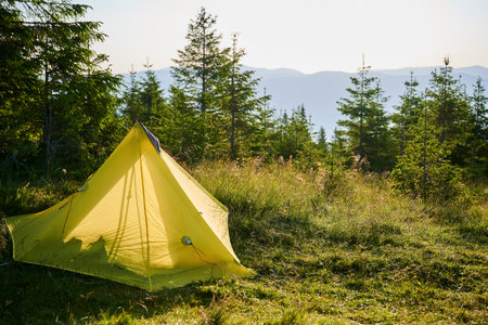 Orange tourist tent on grassy hillside under sunset sky. Surrounded by young pine trees. Stunning view of distant mountains and creates peaceful and picturesque camping spot in the morning.の写真素材