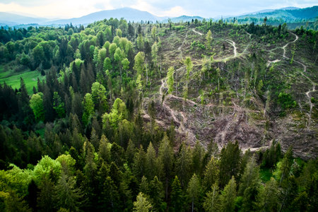Aerial view of landscape with forested and deforested area in the mountains. Deforestation, logging, environmental destruction.の写真素材