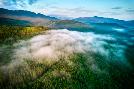 Stunning aerial view of dense forest blanketed in morning mist, with rolling green hills and distant mountains under pastel sky. Mist creates dreamy atmosphere, softening landscapes features.の写真素材