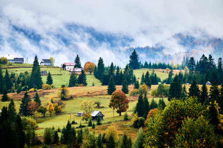 Picturesque autumn landscape in mountains. Hills dotted with colorful trees and rural houses, surrounded by evergreen forests. Mist rises from valleys, creating serene and enchanting atmosphere.の写真素材