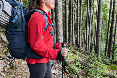 Close-up shot of hiker carrying large backpack with rolled-up sleeping pad, gripping trekking poles while standing on forest trail surrounded by tall, straight trees and green undergrowth.の写真素材