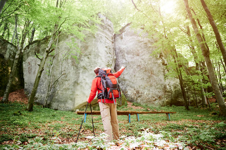 Back view of hiker with large backpack points towards towering rock formation in lush, sunlit forest. With trekking poles in hand, tourist stands amidst vibrant green foliage and dappled sunlight.の写真素材