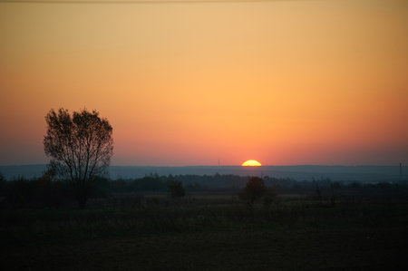 Sun sets on horizon, casting warm orange and pink glow across sky. Solitary tree stands silhouetted against colorful backdrop, while the landscape fades into gentle twilight.の写真素材