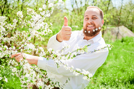 Man allergic enjoying after treatment from seasonal allergy at spring. Man with small white flowers dotted in beard, smiling, showing thumbs up gesture in front of blossom tree. Spring allergy conceptの写真素材