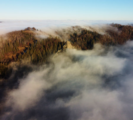 Mesmerizing aerial view of forested ridge shrouded in sea of clouds, with trees just peeking through mist. Landscape extends into distance, showcasing serene and ethereal beauty of nature.の写真素材