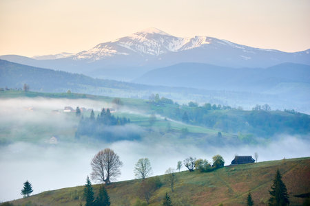 Misty morning in rural valley. Lush green hills dotted with houses and trees, with layer of fog. In the background, snow-capped mountains rise majestically under soft pastel sky. Hoverla, Ukraine.の写真素材