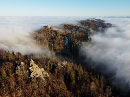 Aerial view of rock formations emerge through blanket of clouds. Rocky outcrops stand out against dense forest, creating dramatic contrast with soft, foggy atmosphere. Carpathian mountains, Ukraine.の写真素材