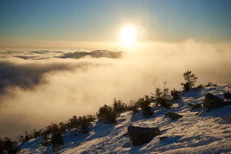 Snow-covered mountain slope at dawn, with scattered rocks and small trees adding texture to foreground. Sea of clouds below bathed in soft hues of blue and gold as sunlight gently illuminates scene.の写真素材