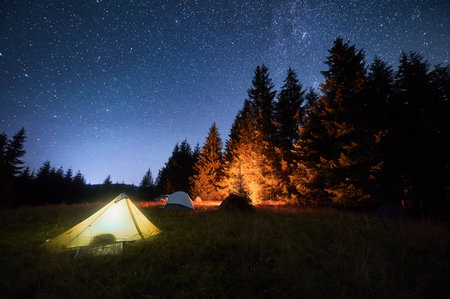 Several tents illuminated by glowing campfire in grassy clearing under clear, starry sky. Surrounded by tall pine trees in the mountains. Tranquil beauty of night spent camping in nature.の写真素材