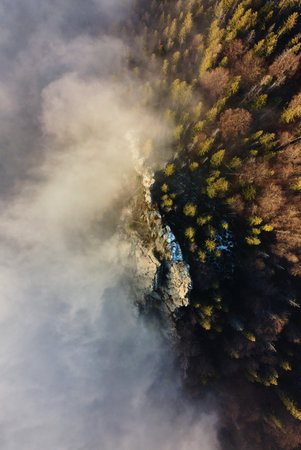 Aerial perspective of dense forest partly obscured by mist, showcasing blend of evergreen trees and bare branches with patches of snow. Quiet and mysterious allure of wintry forest landscape.の写真素材