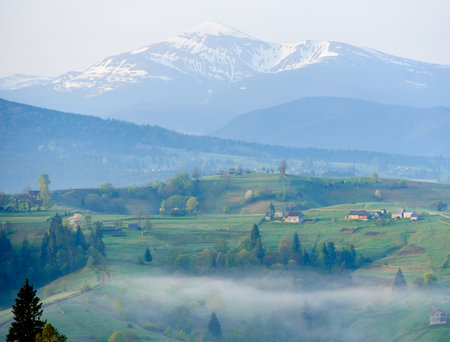 Misty morning in rural valley. Lush green hills dotted with houses and trees, with layer of fog. In the background, snow-capped mountains rise majestically under soft pastel sky. Hoverla, Ukraine.の写真素材