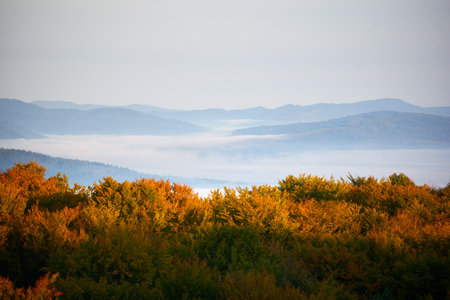 Vibrant autumn landscape. Trees adorned in fiery red, orange, and yellow foliage. Layers of mist blanket valleys, distant mountains rise under soft, pastel sky. Warm autumn colors.の写真素材