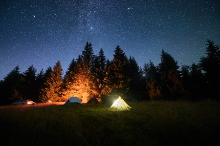 Several tents illuminated by glowing campfire in grassy clearing under clear, starry sky. Surrounded by tall pine trees in the mountains. Tranquil beauty of night spent camping in nature.の写真素材