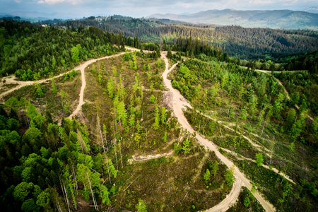 Aerial view of landscape with forested and deforested area in the mountains. Deforestation, logging,...