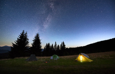 Several tents on grassy clearing under breathtaking, star-filled sky with Milky Way prominently visible. Pine trees and distant mountains frame scene, creating awe-inspiring camping experience.の写真素材