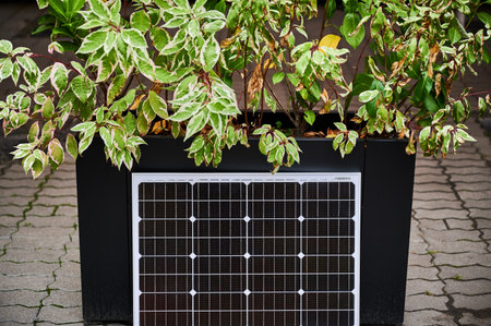 Photovoltaic solar panel at large planter filled with vibrant green foliage, set on paved area under...