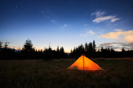 Glowing orange tent on grassy field under starry sky, with hint of dawns light on horizon. Surrounded by pine trees, tranquil scene captures serene beauty of early morning in nature.の写真素材