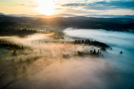 Aerial view of sunrise over mist-covered landscape, with golden light illuminating rolling hills and valleys. Thick fog creates mystical atmosphere, partially obscuring lush greenery and trees below.の写真素材