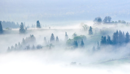 Misty landscape with rolling hills and dense pine forests. Soft morning fog envelops trees, creating dreamy and ethereal scene. In the distance, houses and trees emerge from mist.の写真素材