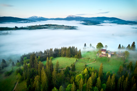 Aerial view of mist drifting over lush, green landscape. Early morning fog gently envelops trees and fields, creating soft, ethereal atmosphere under clear sky. Distant mountains rise majestically.の写真素材