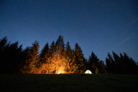 Illuminated tent and glowing campfire create warm ambiance on grassy clearing under clear, starry sky with visible shooting star. Tall pine trees frame scene, enhancing beauty of night in nature.の写真素材